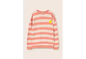 Rose-Striped Cotton Fleece