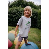 Swag T-Shirt Dapple Gray