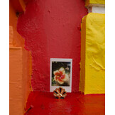 Rosie Roset Card Holder