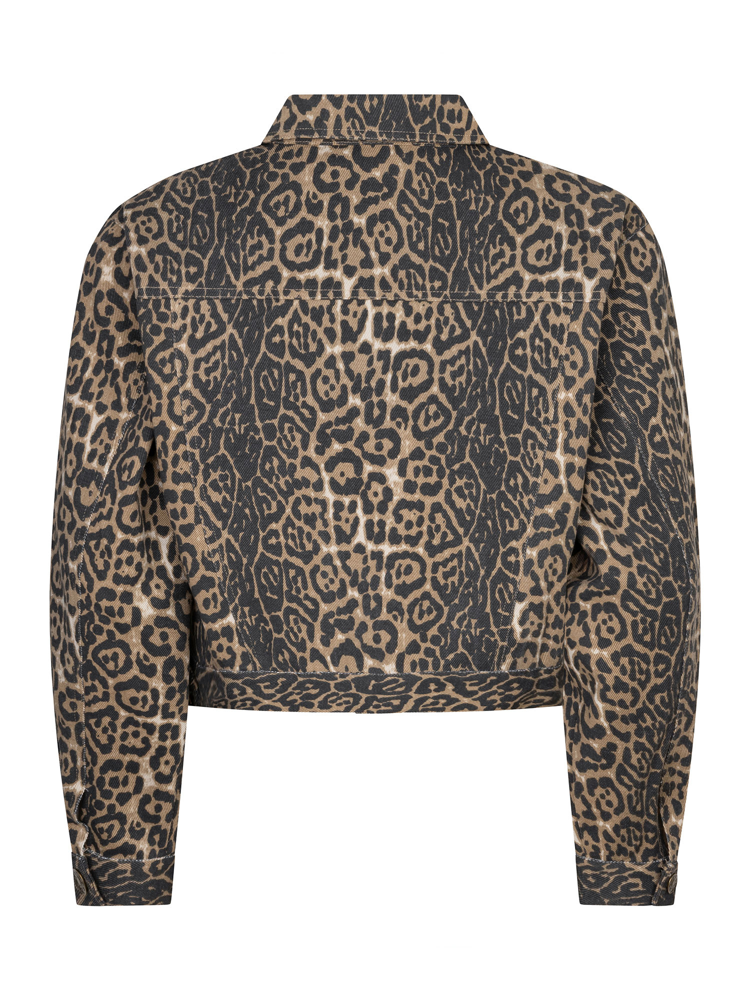 Jacket Saskia Leopard