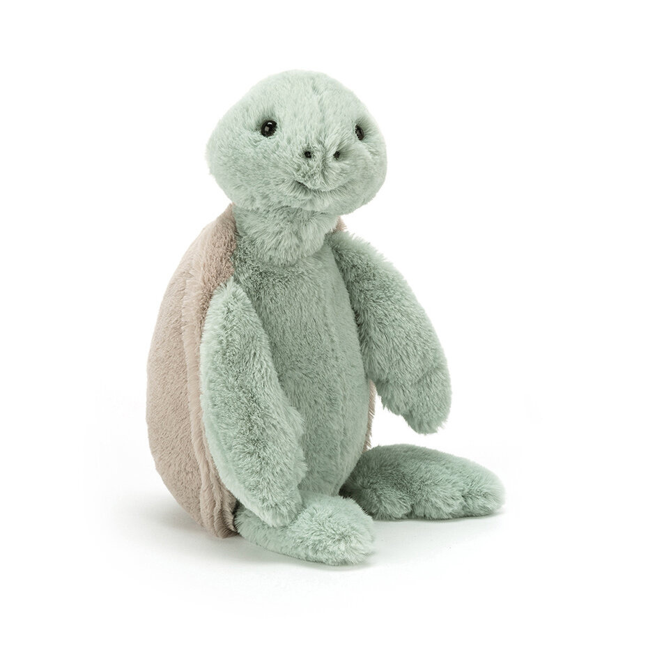 Bashful Turtle Original (medium)