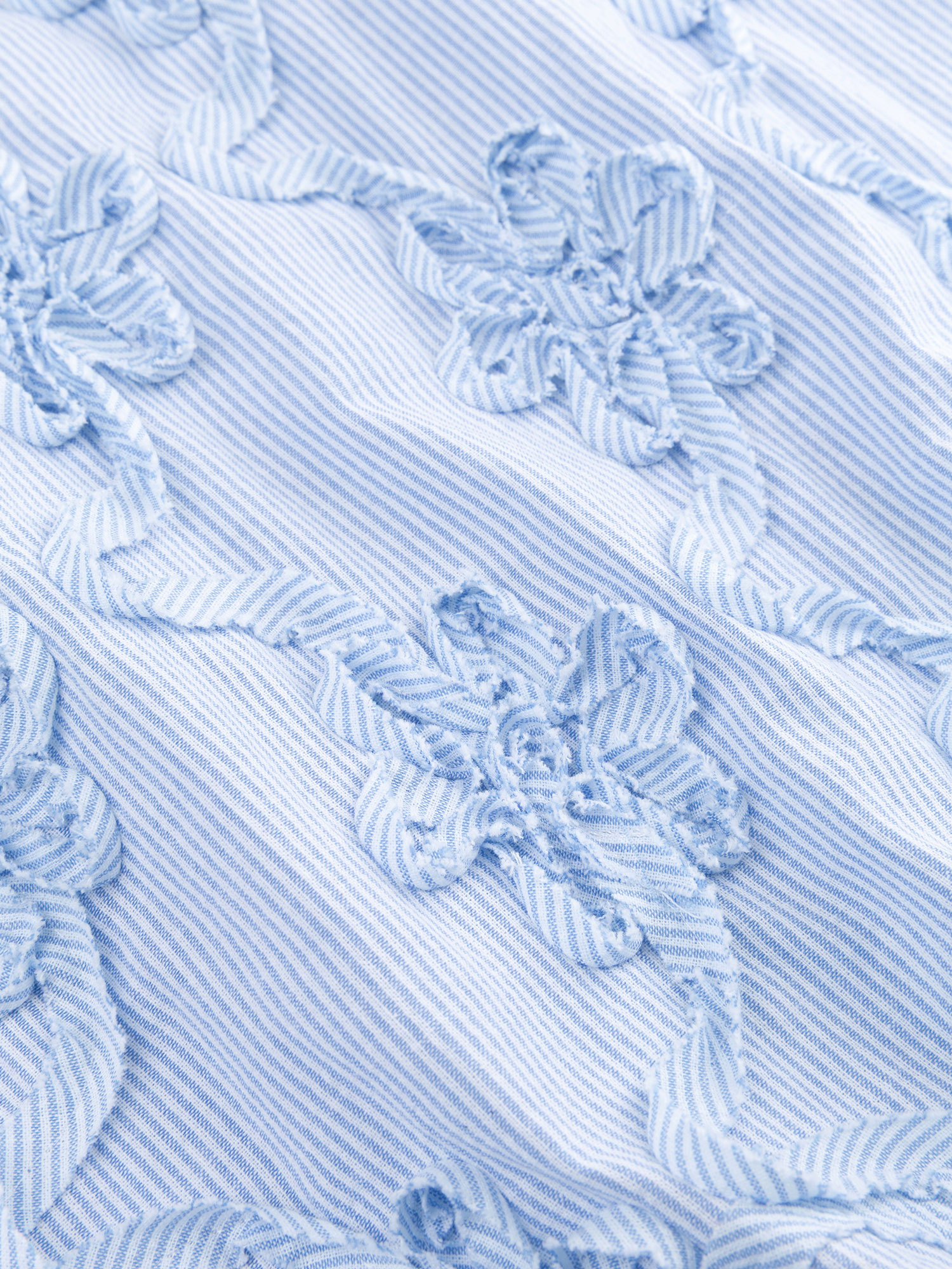 Short Rosa Light blue