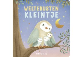 Little Dutch boek "welterusten kleintje"