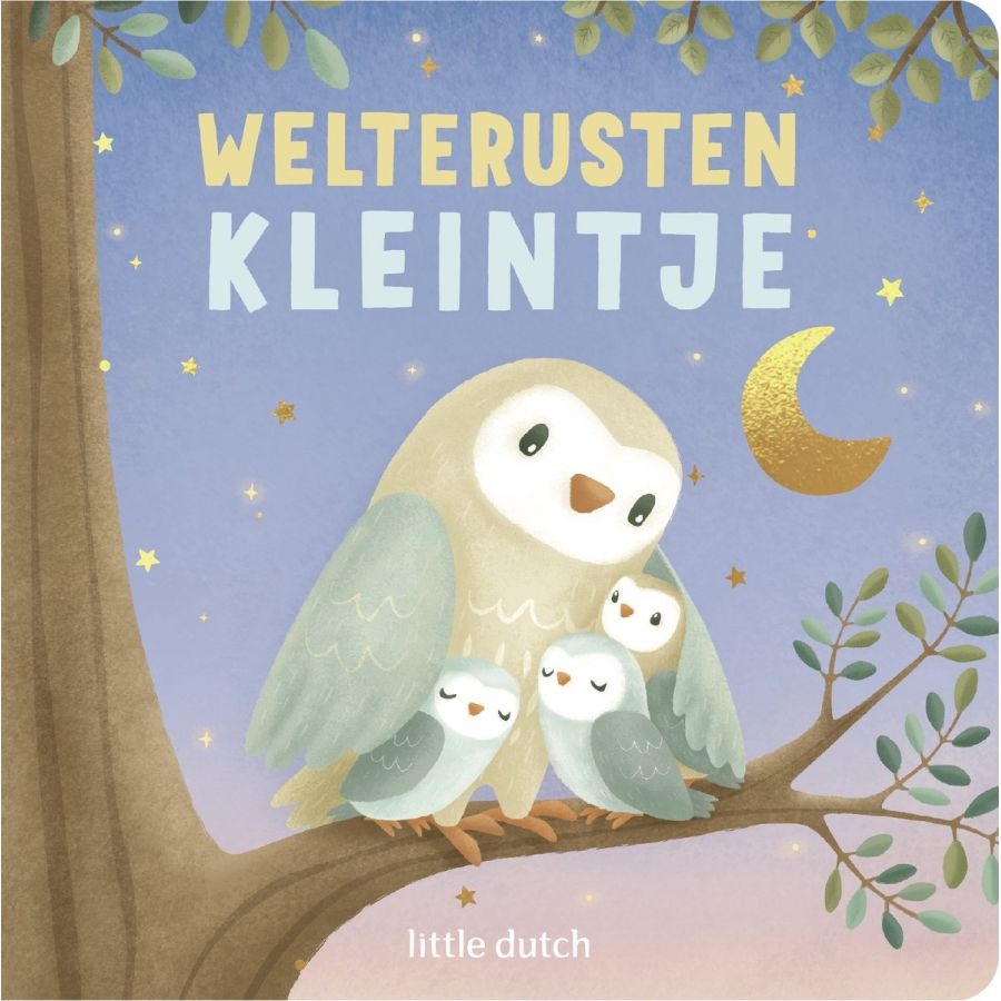 Little Dutch boek "welterusten kleintje"