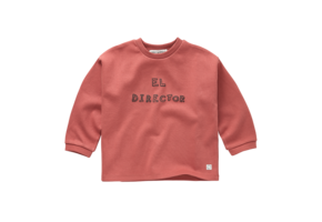 Sweatshirt boxy ls El Director Palette
