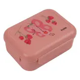 Lunchbox met clips | Fruit Fairy Mrs. Butterfly