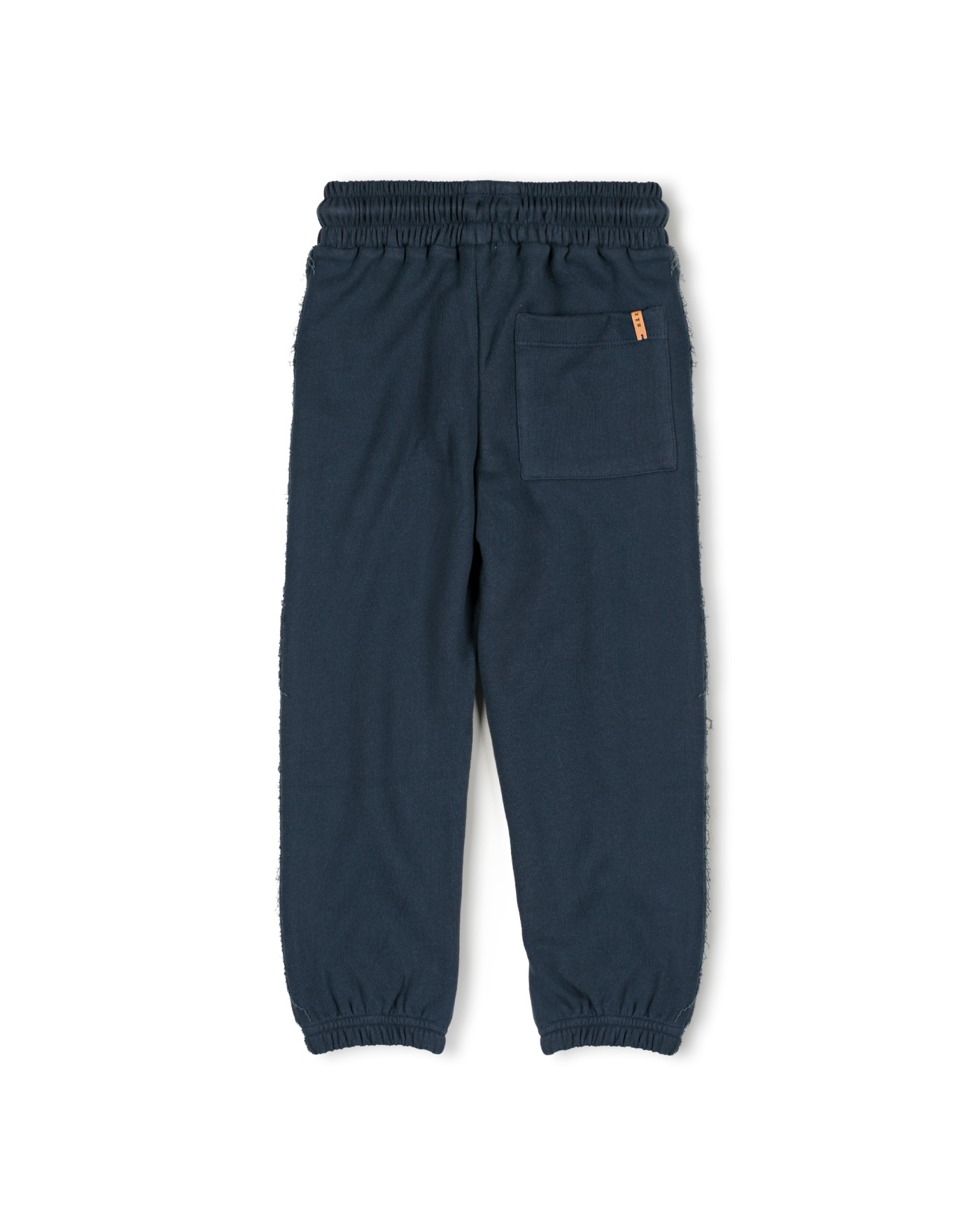Pir jogger Orca