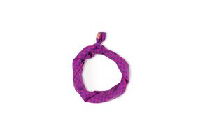 Bandana Blueberry Checkered