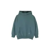 Chris Hoodie Seafoam Green