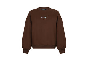 Sweater Iconic Brown