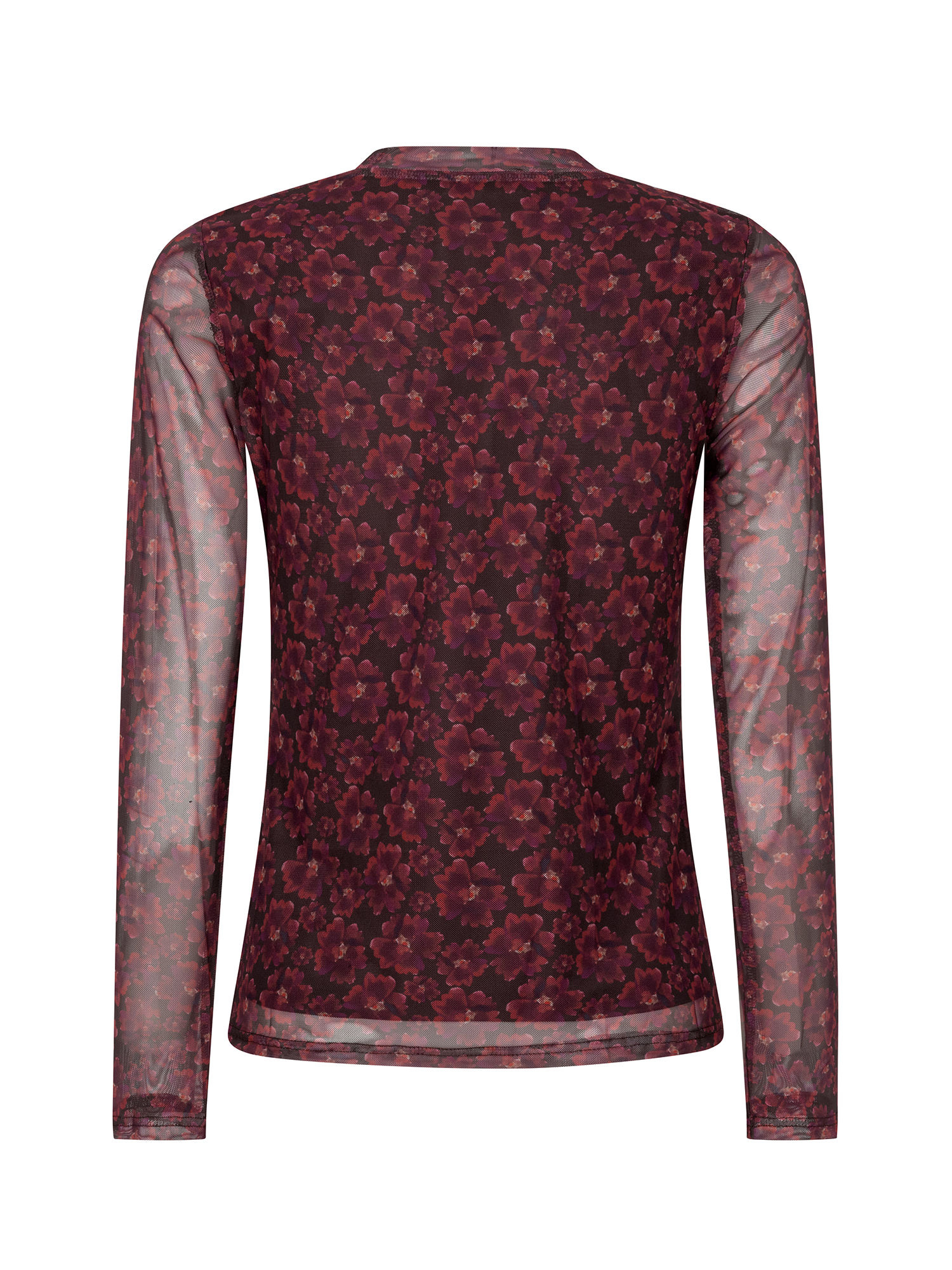 Top Willemijn Burgundy flower