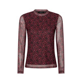 Top Willemijn Burgundy flower