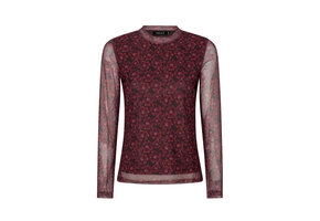 Top Willemijn Burgundy flower