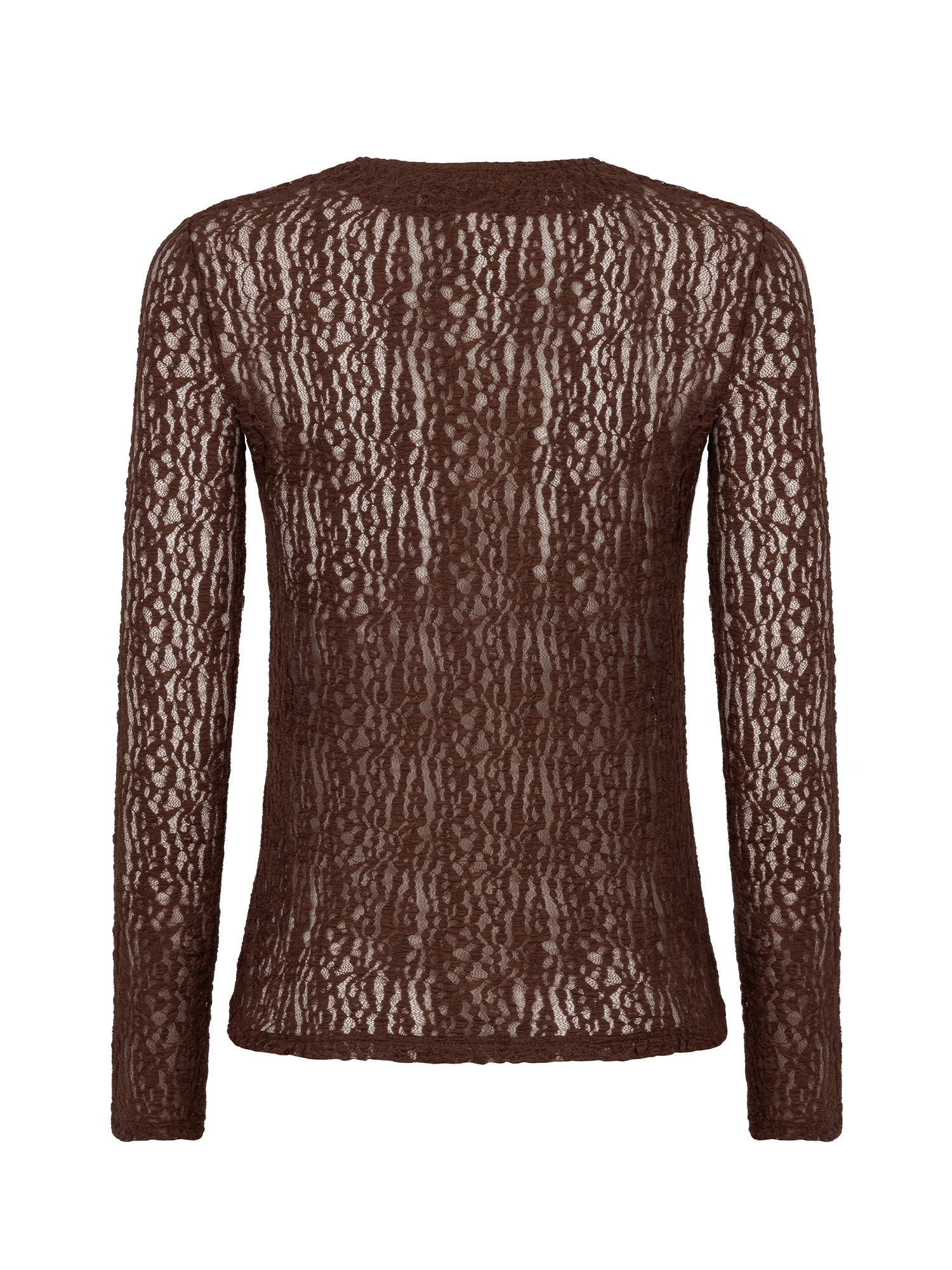 Top Sera Brown