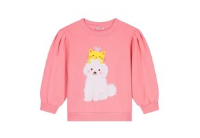 ROYAL CUDDLE CREW SWEATER