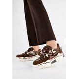 JUPITER corduroy Drk Brown /Off White