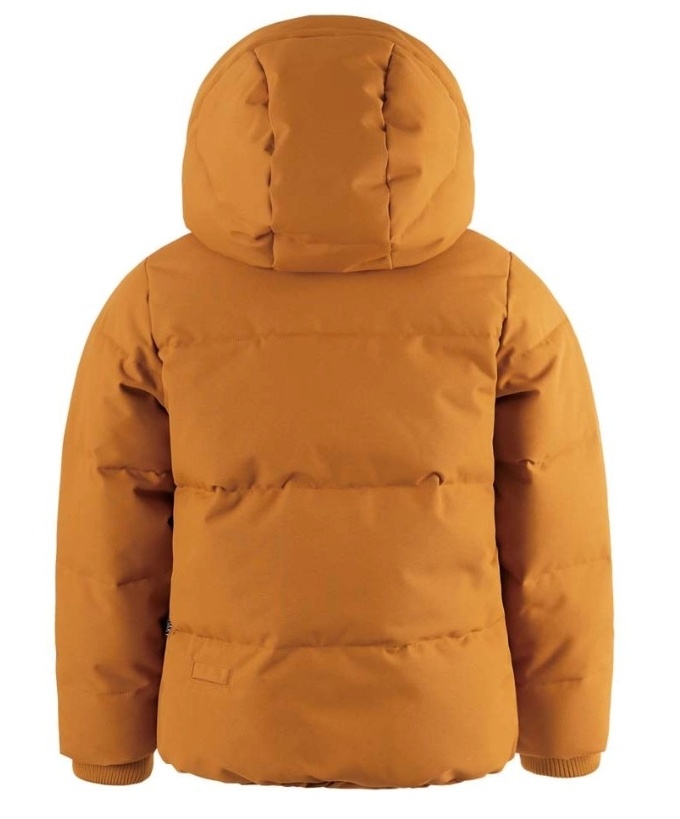 DRAGON EYE buckthorn ochre