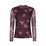Top Willemijn Plum flower