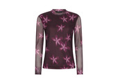 Top Willemijn Plum flower