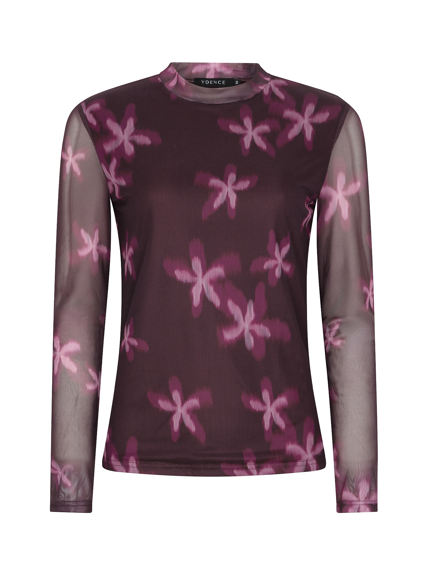 Top Willemijn Plum flower