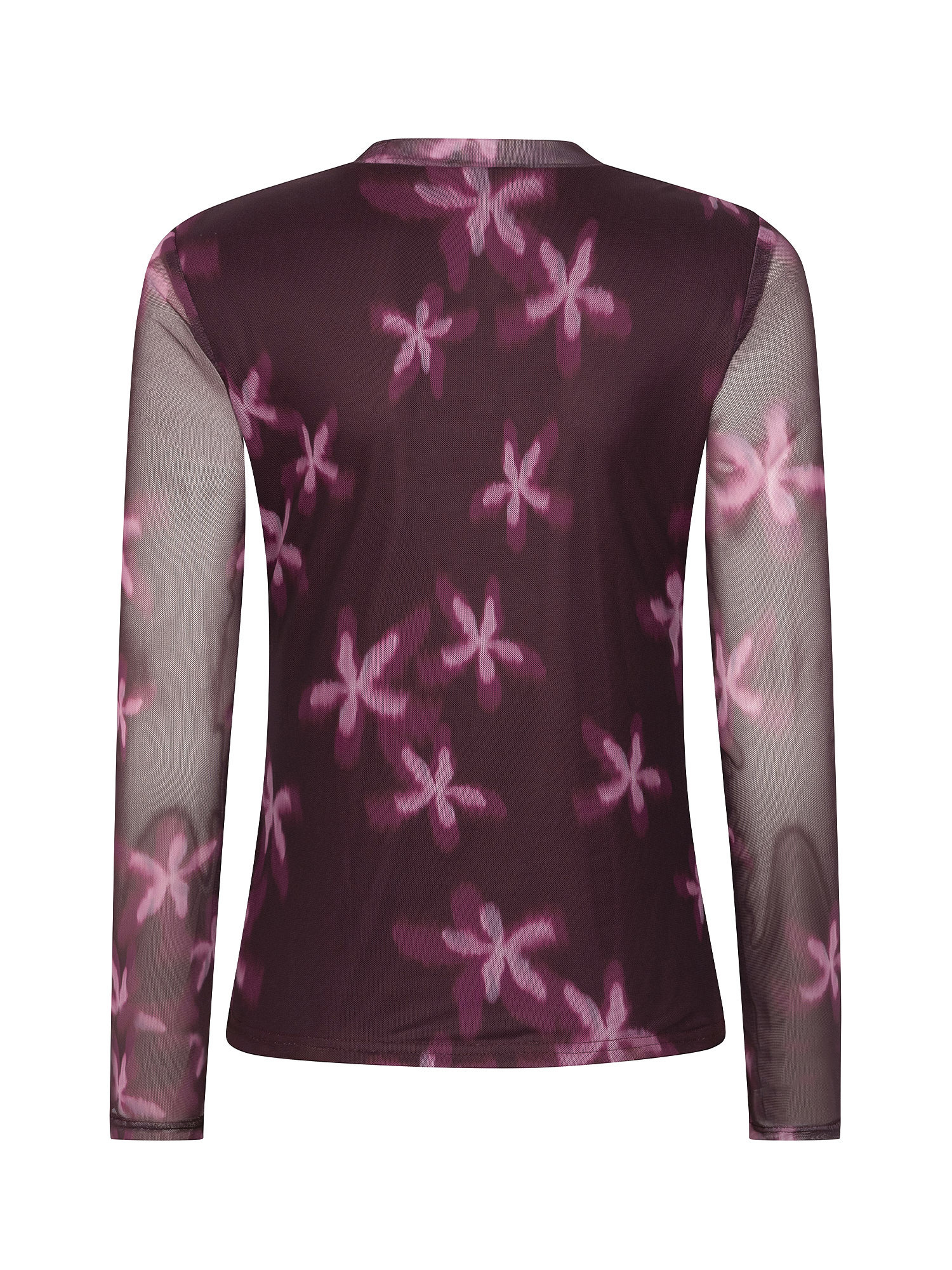 Top Willemijn Plum flower