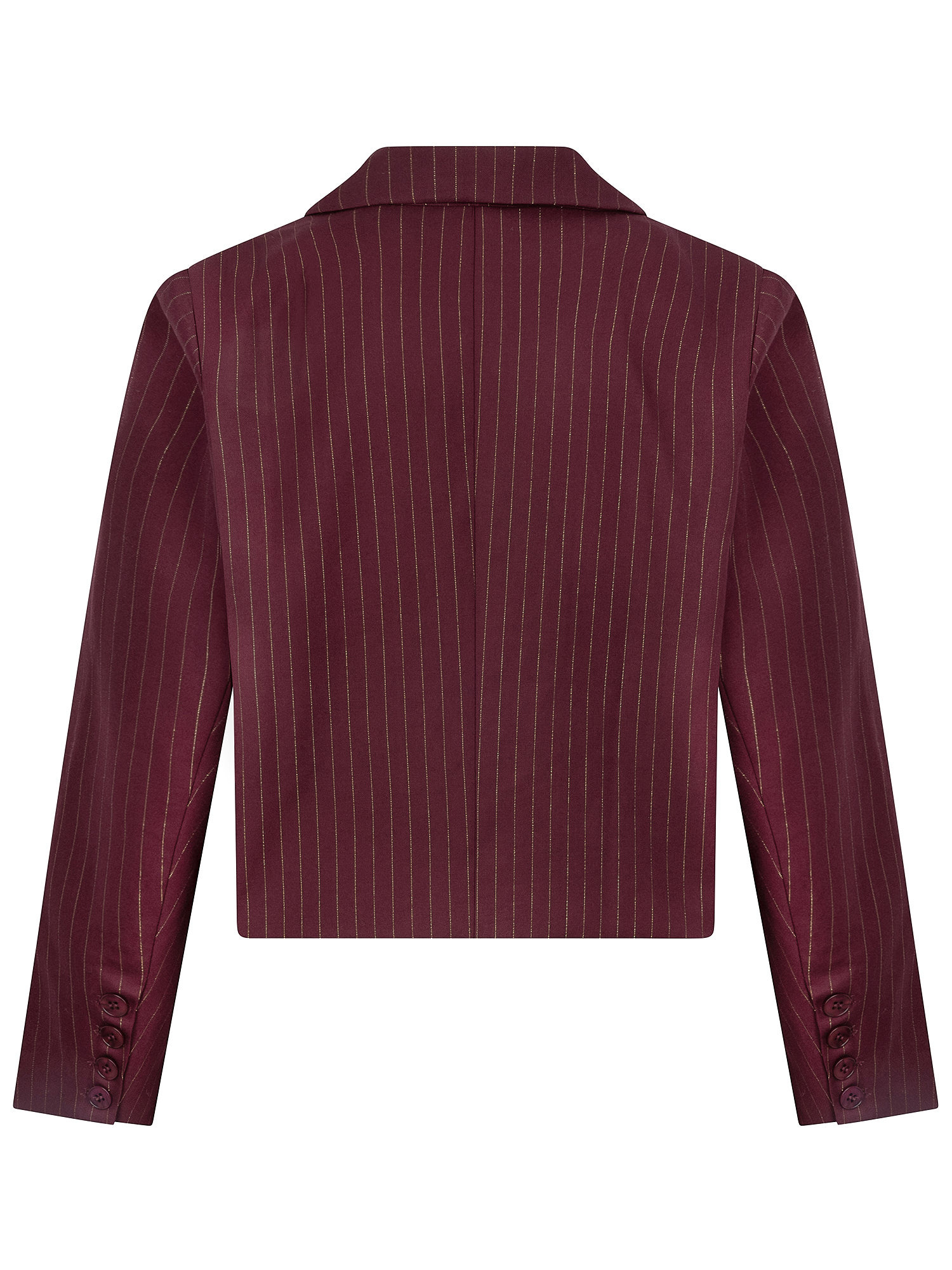 Blazer Ilonka Burgundy