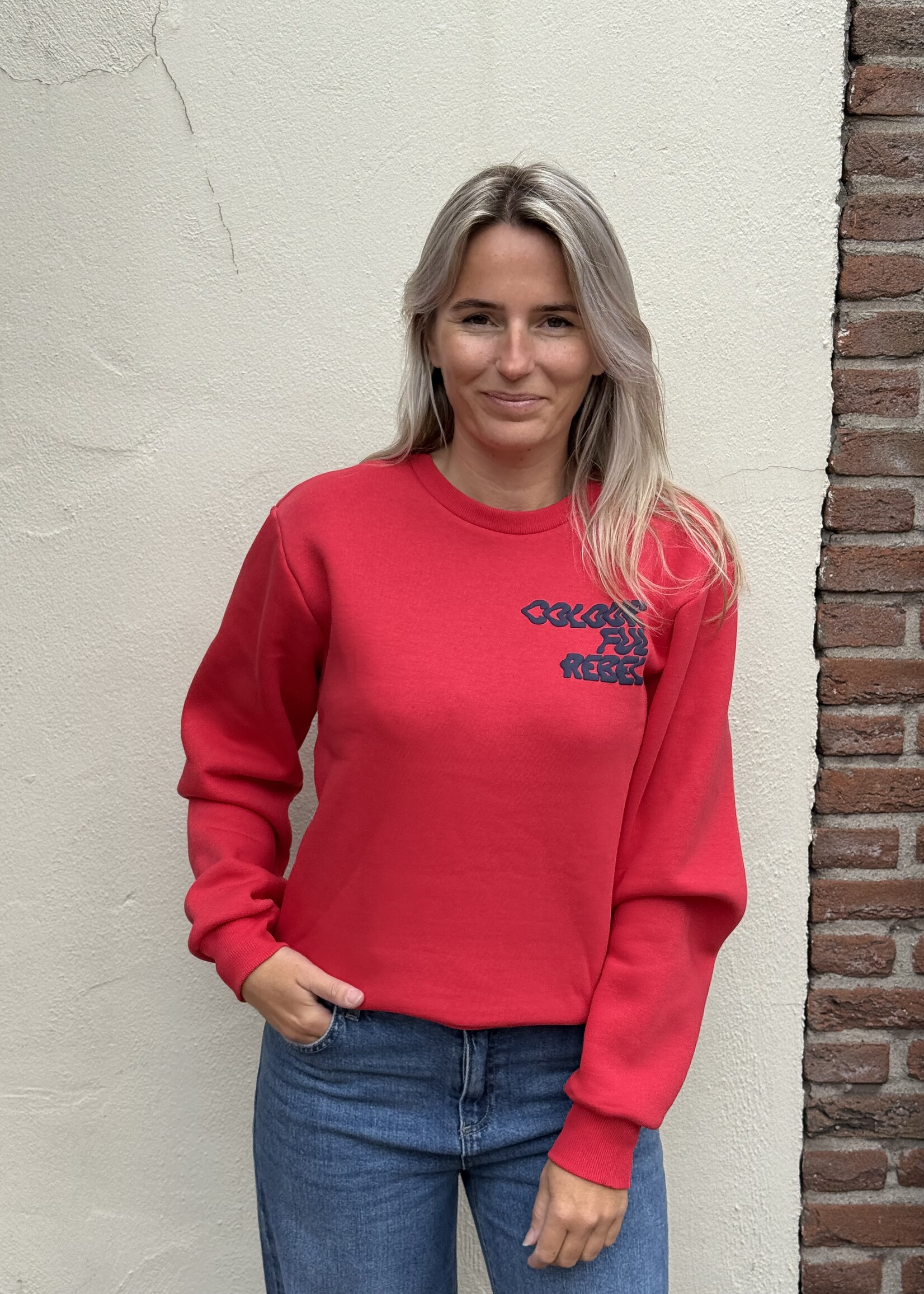Colourful Rebel Colourful Rebel - Logo wave Sweater