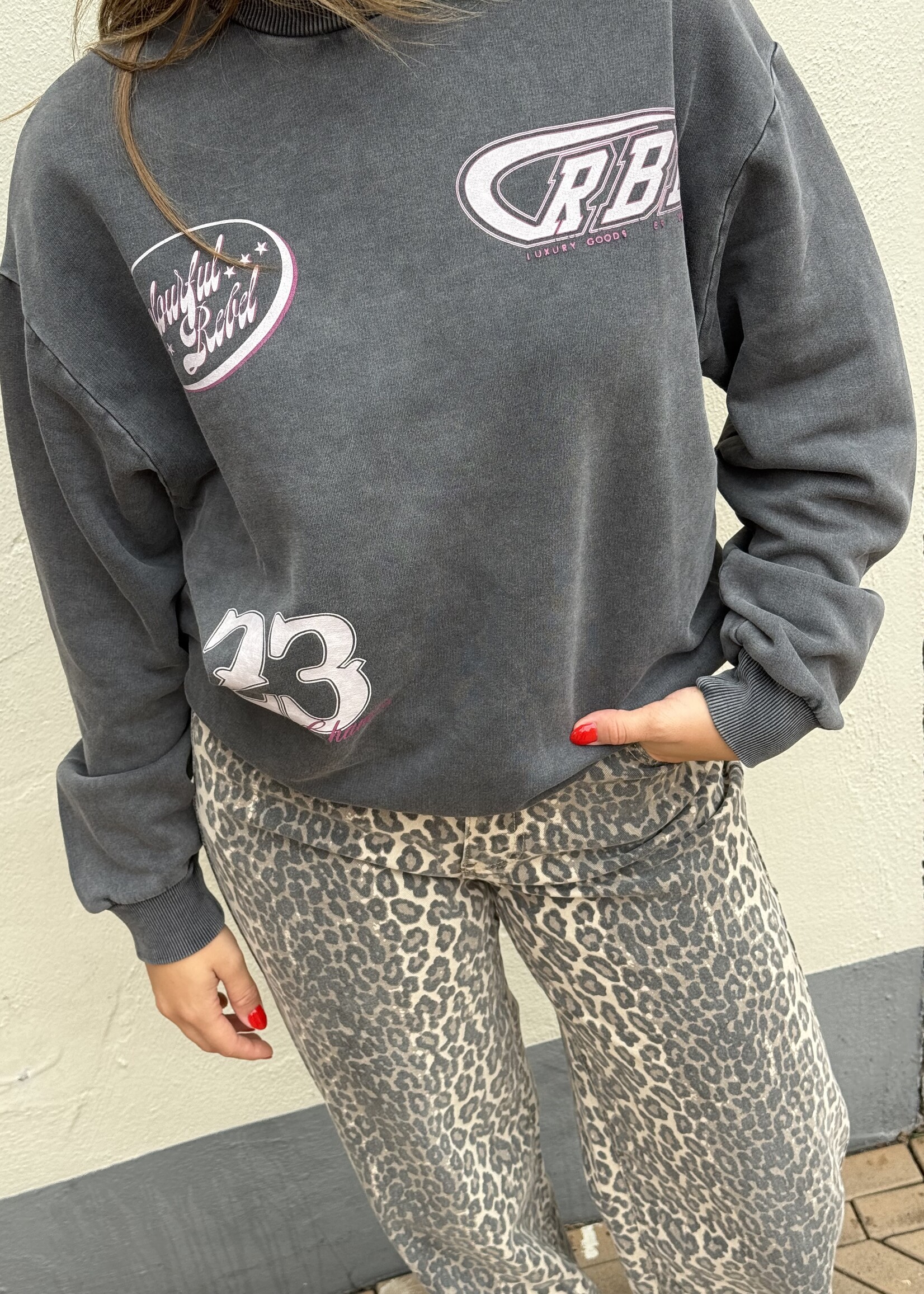Colourful Rebel Colourful Rebel - Acid Sweater grijs