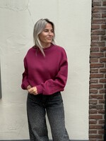 Colourful Rebel Colourful Rebel -  Sweater- bordeaux