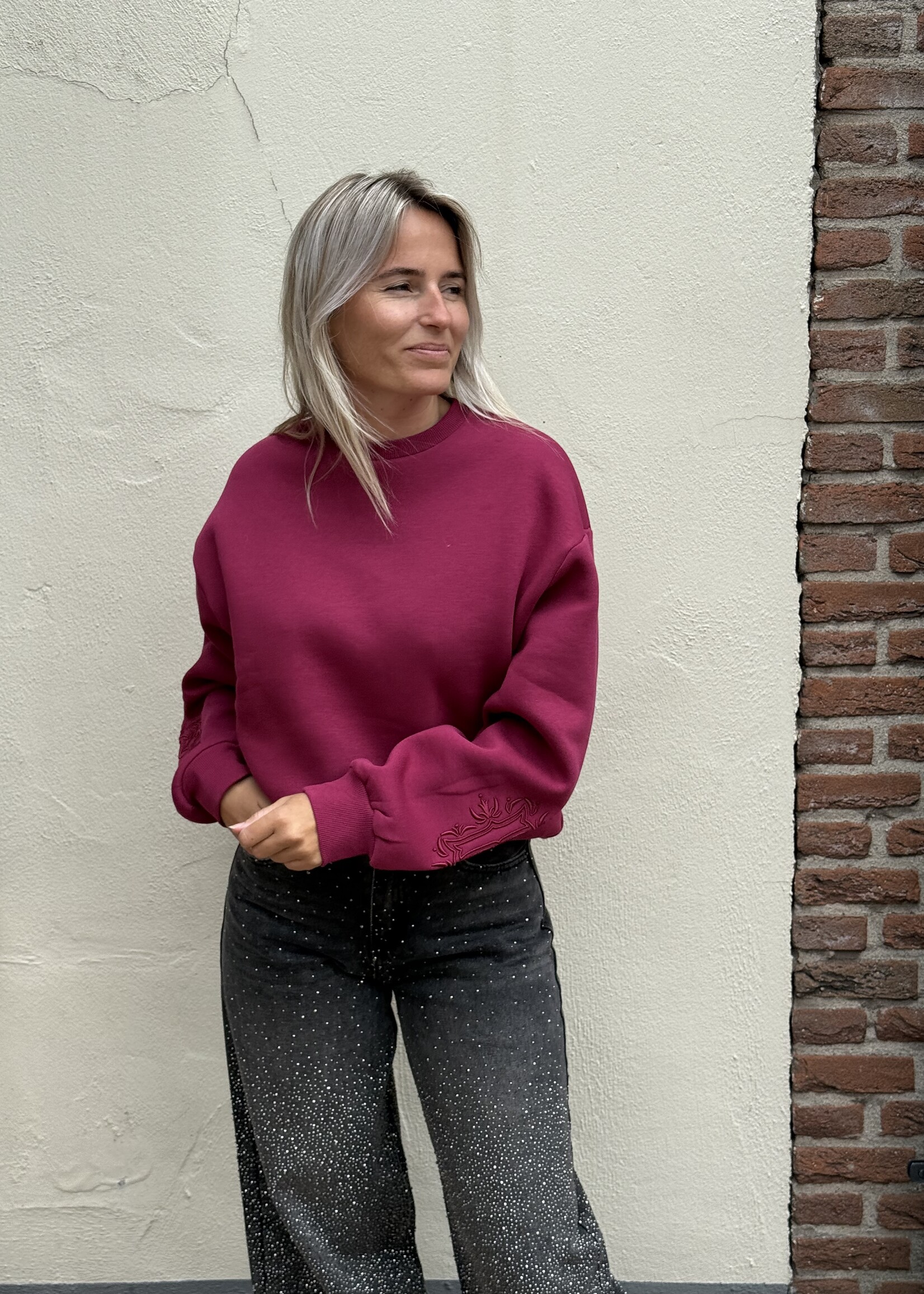 Colourful Rebel Colourful Rebel - Sweater- bordeaux