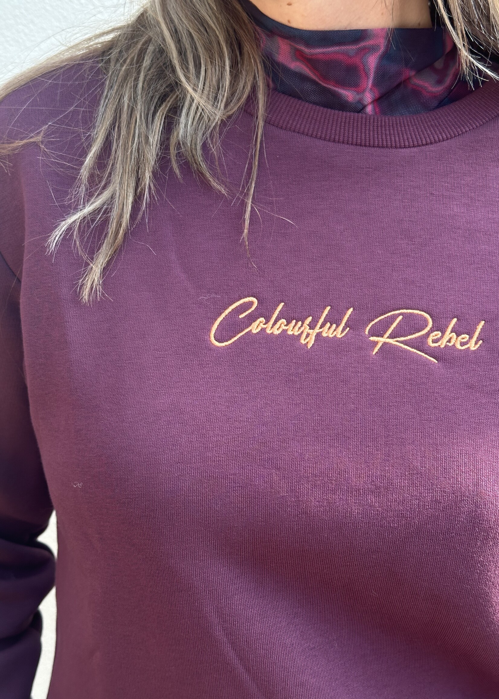 Colourful Rebel Colourful Rebel Relaxed Sweater - bordeaux