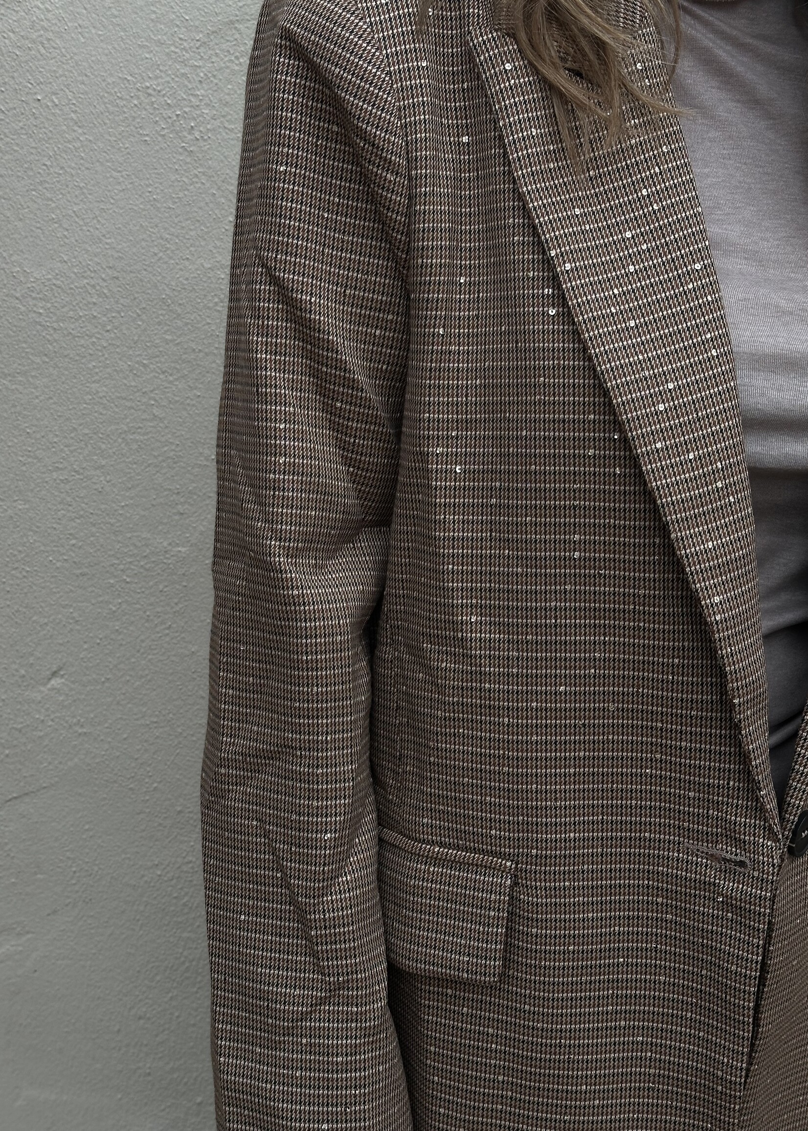 Blazer ruitjes & sparkles