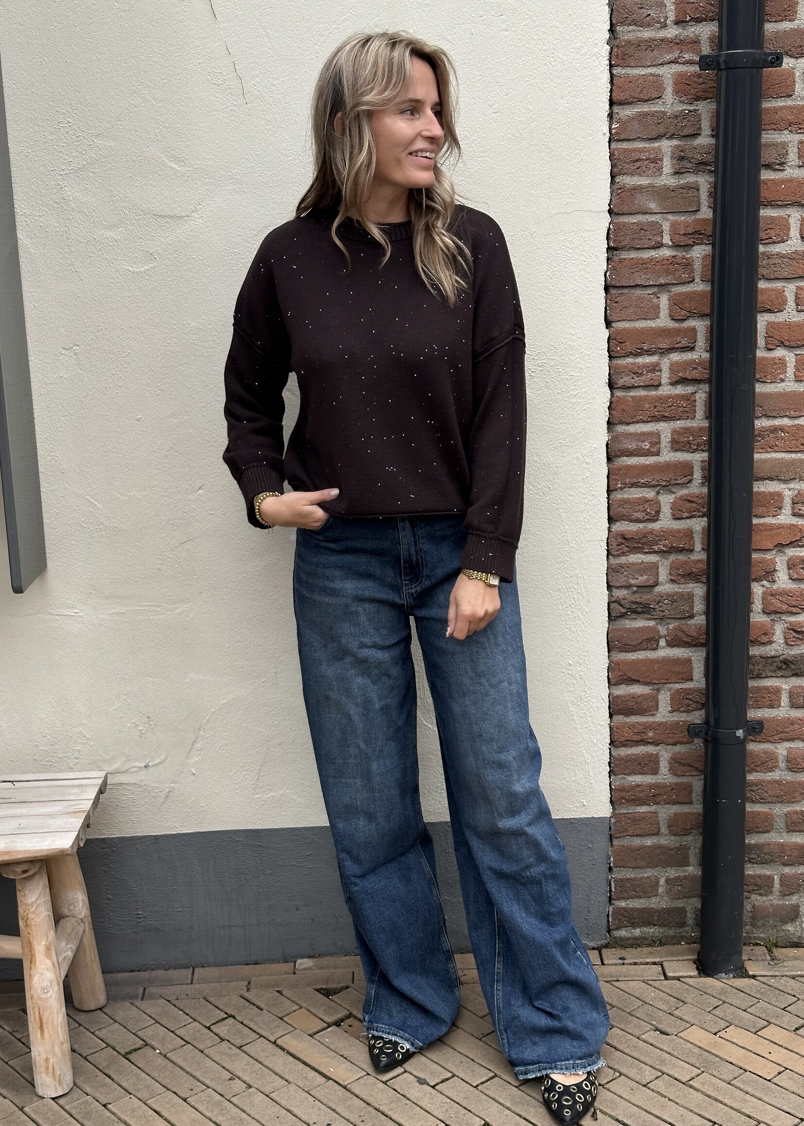 Ambika Trui Sparkles - brown