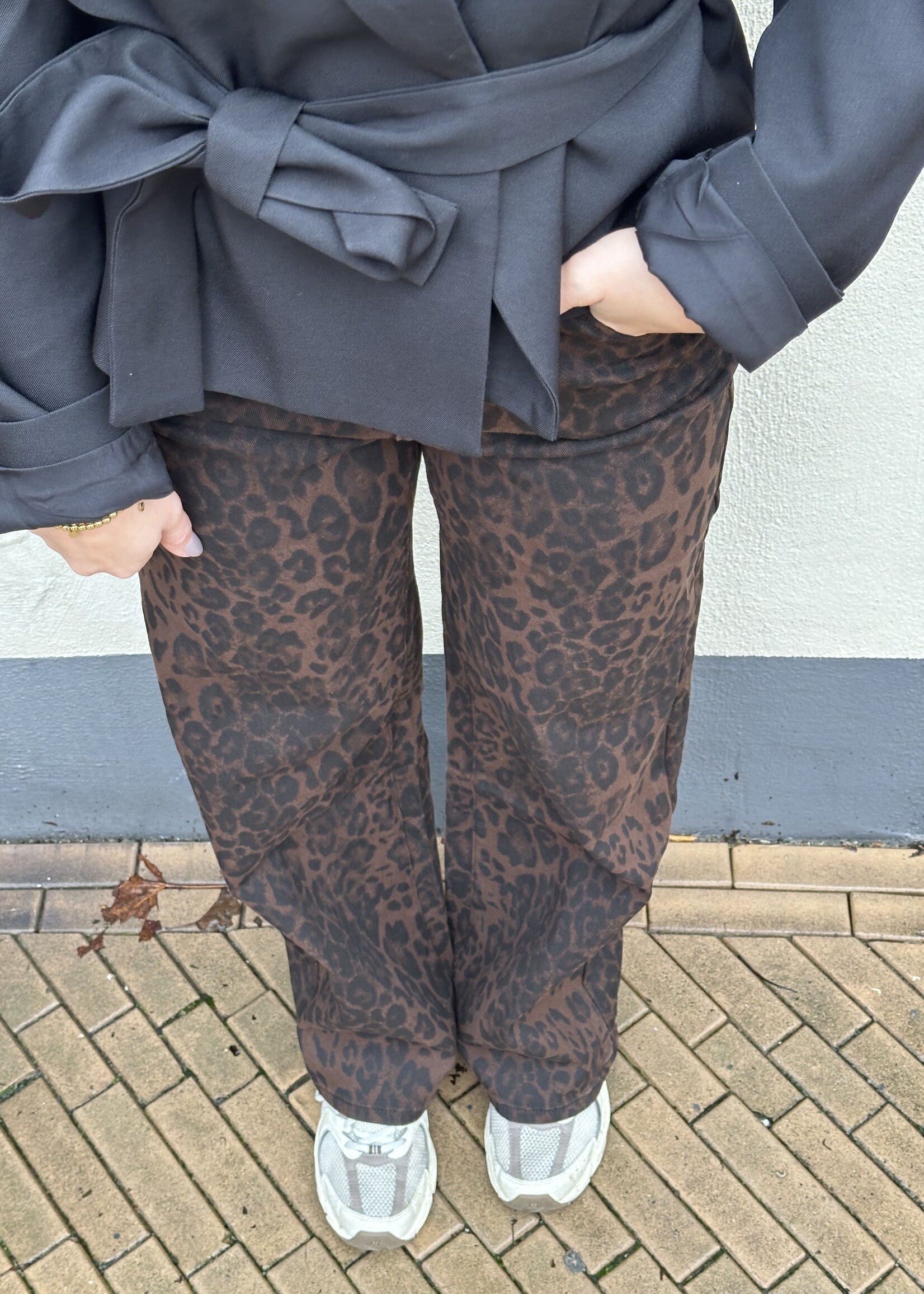 Queen Hearts Jeans Dark brown Leo