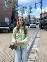 Blouse Gaby  Mint Groen -