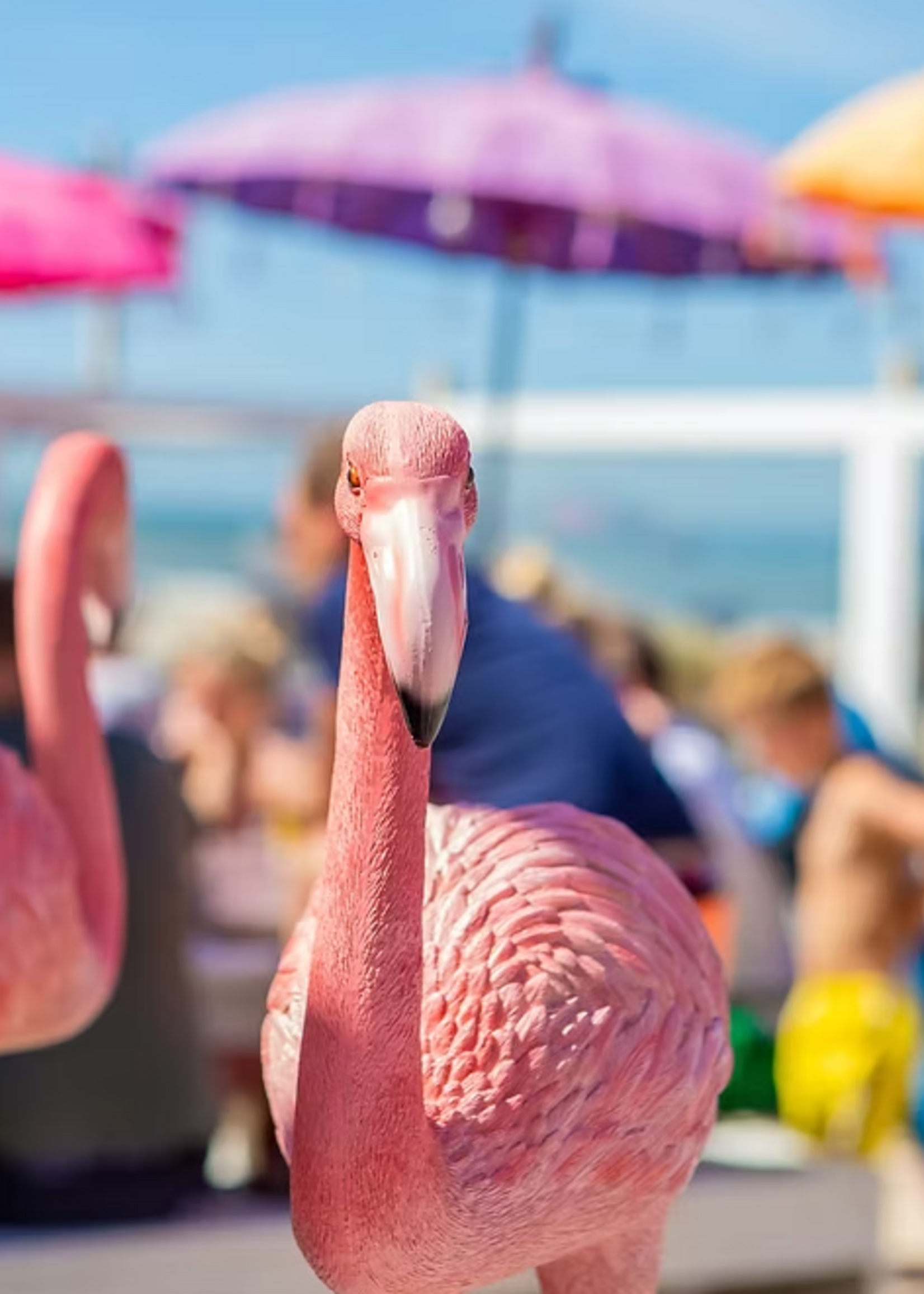 L'Avenue X Bugaloe - Fashion Night - Ticket