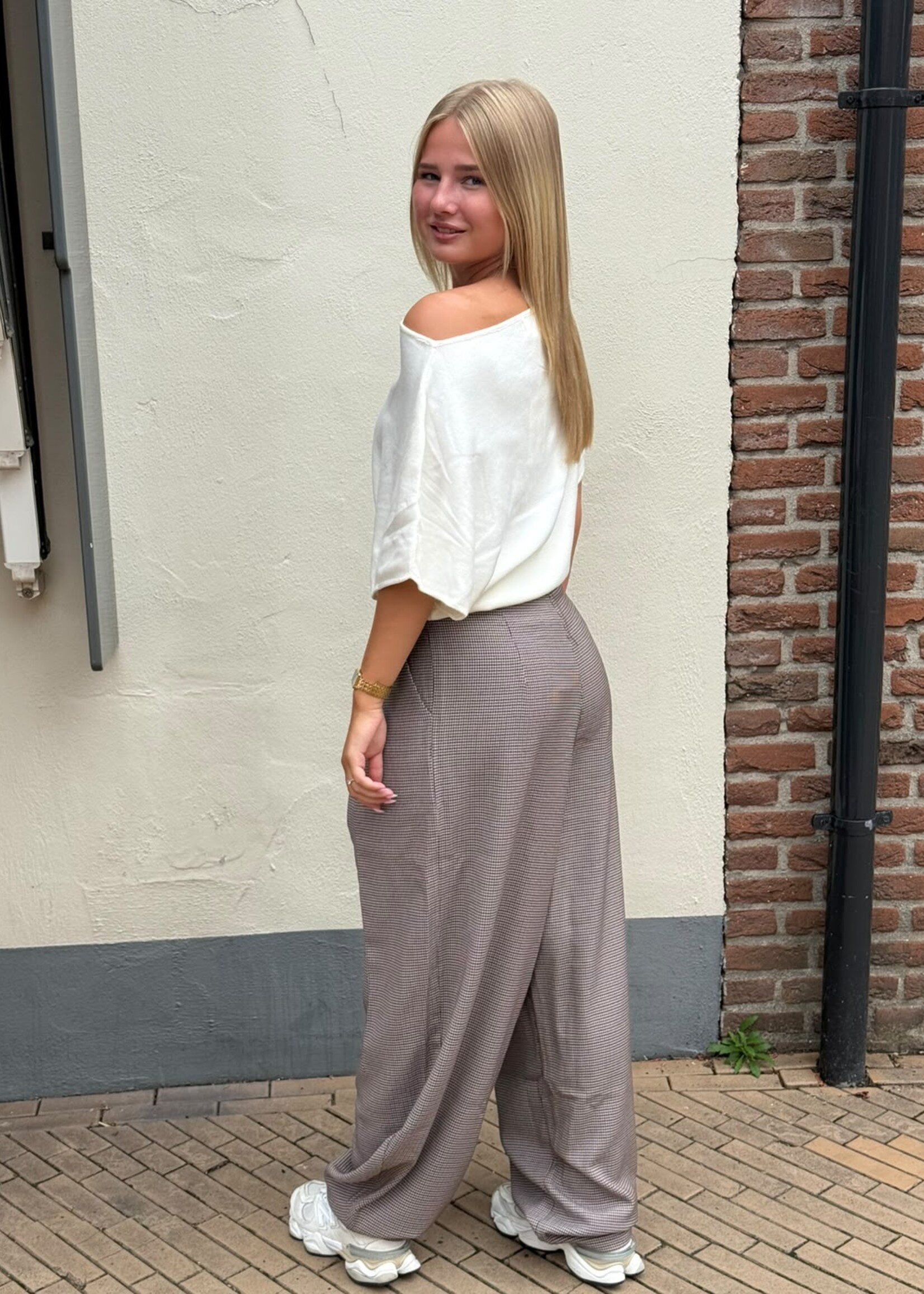 Ambika Pantalon ruitjes -
