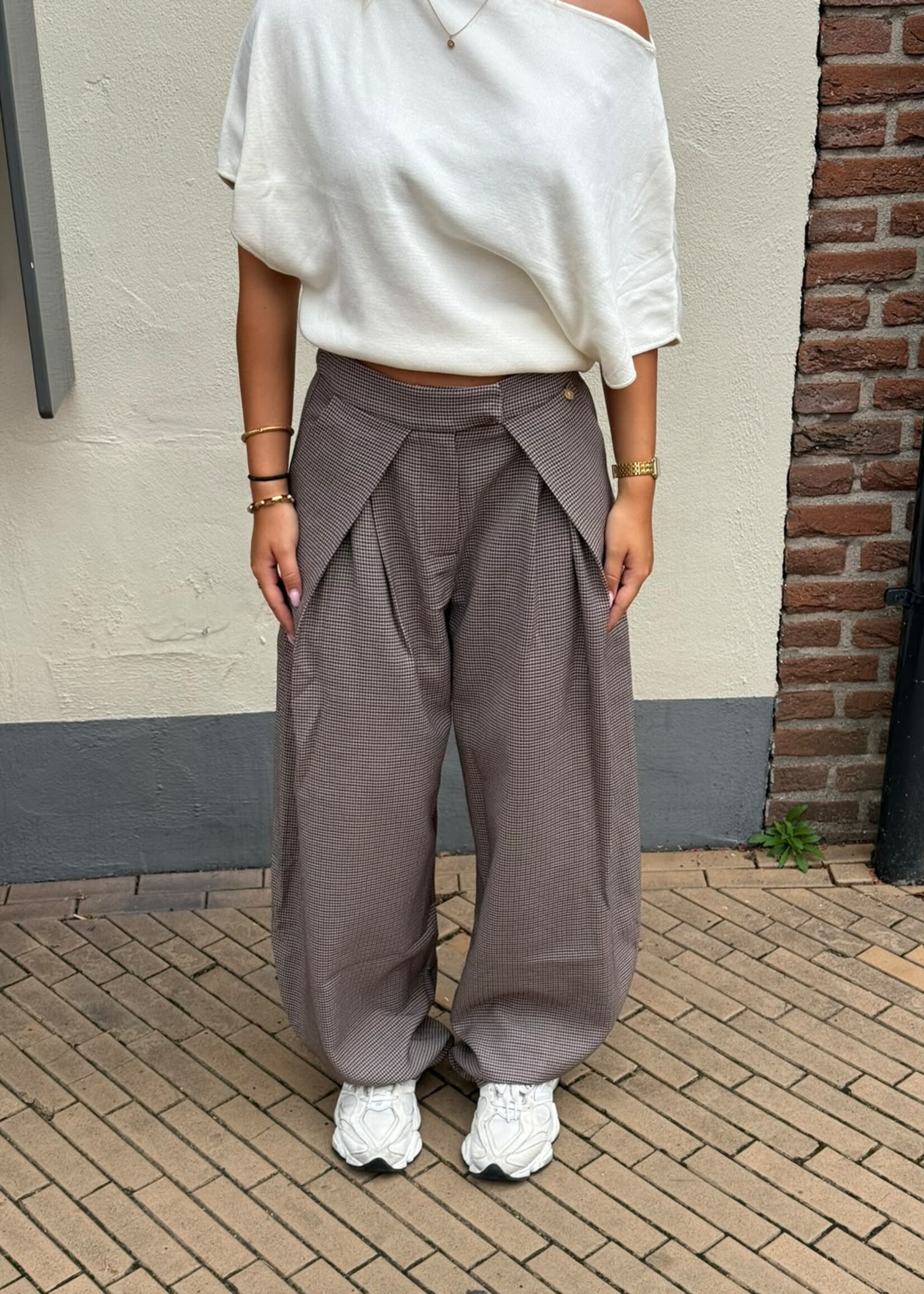 Ambika Pantalon ruitjes -