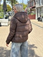Pieces Pieces Bee Puffer Jacket - Hot fudge