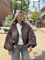 Jas Sam - bruin