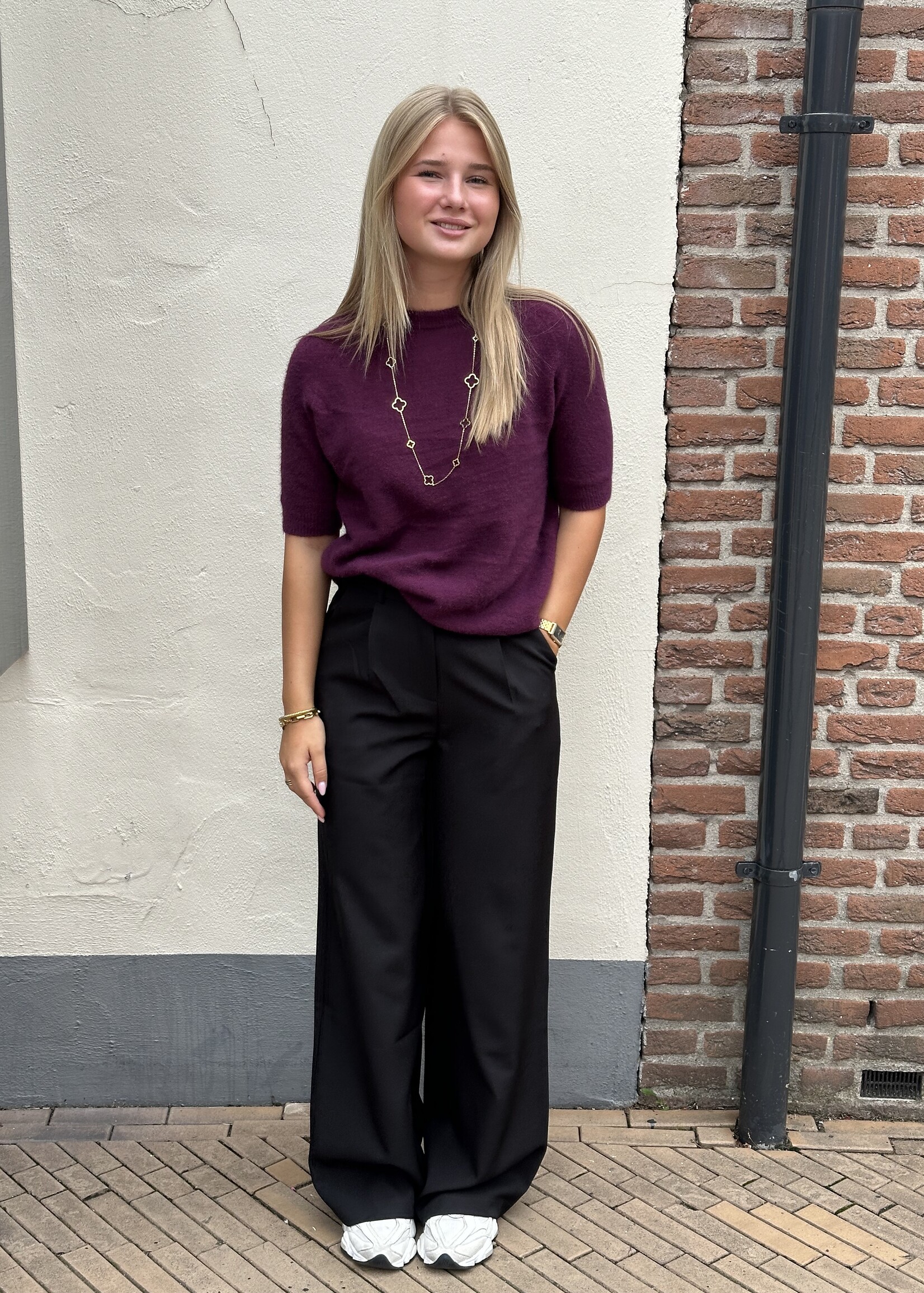 Ambika Pantalon Gris - zwart -