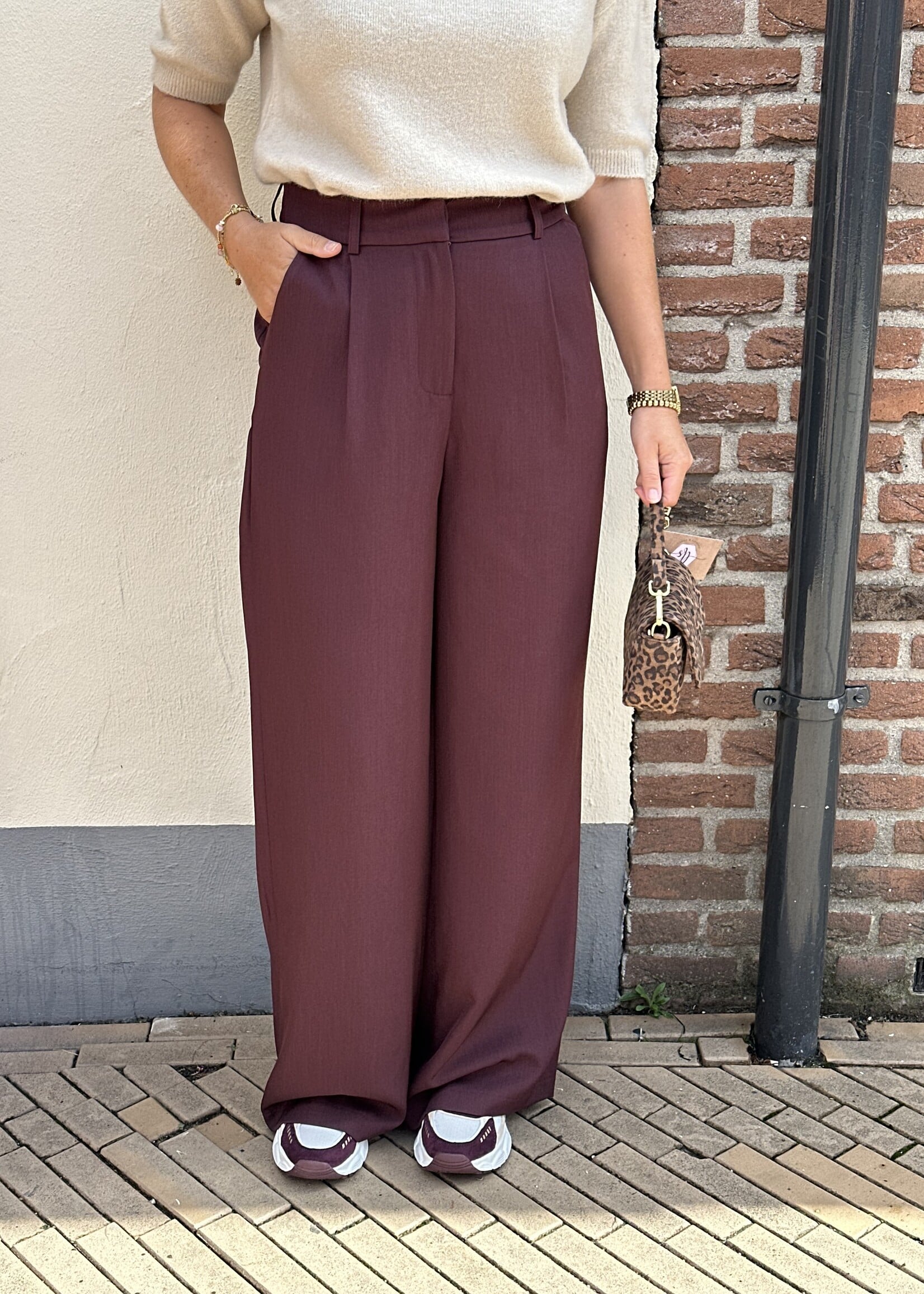 Ambika Pantalon Gris - Plum