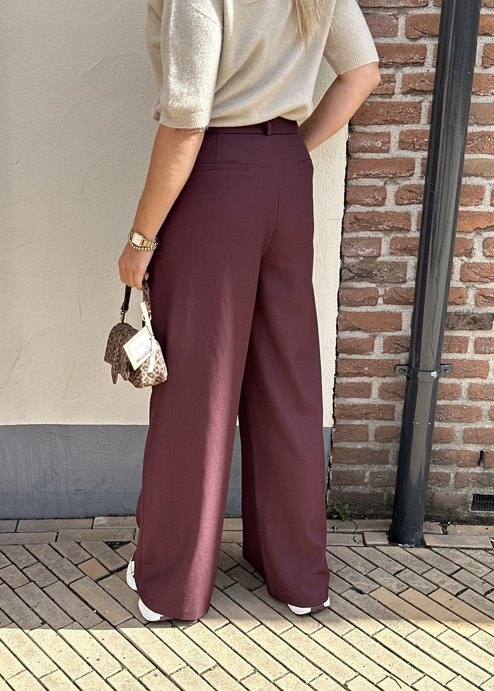 Ambika Pantalon Gris - Plum