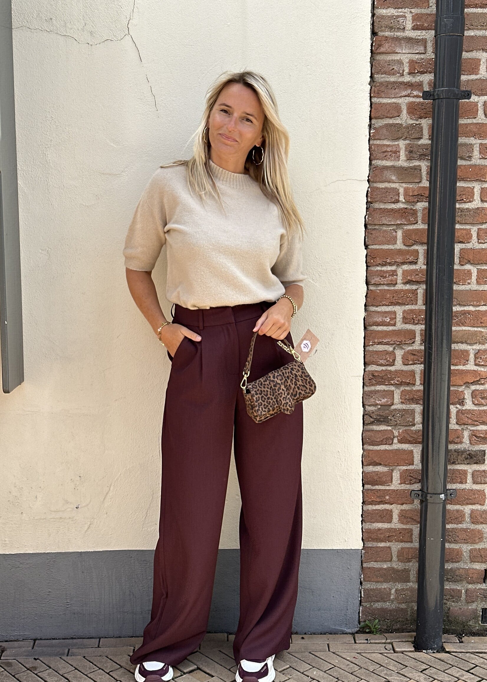Ambika Pantalon Gris - Plum