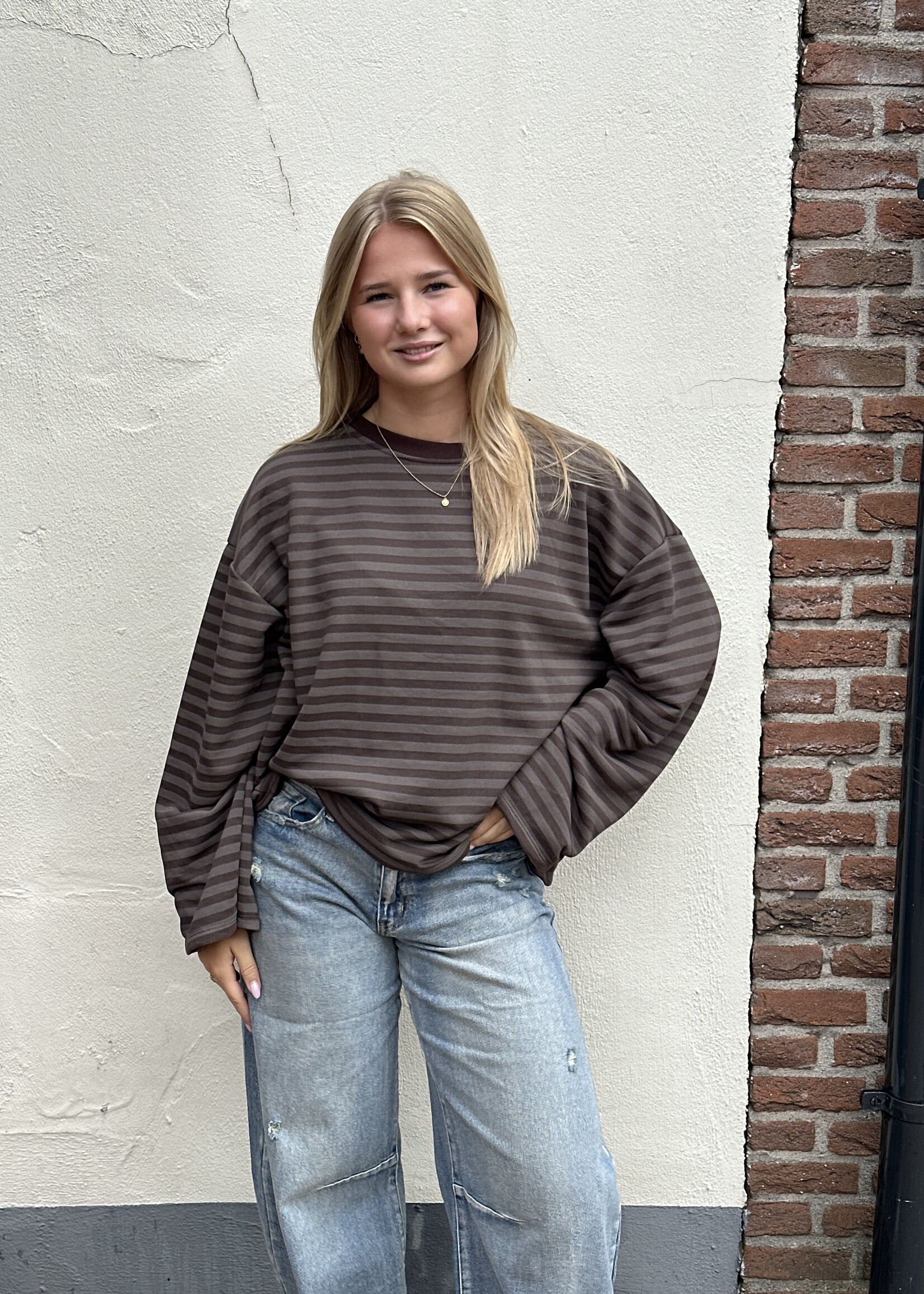 Ambika Longsleeve stripes - Bruin
