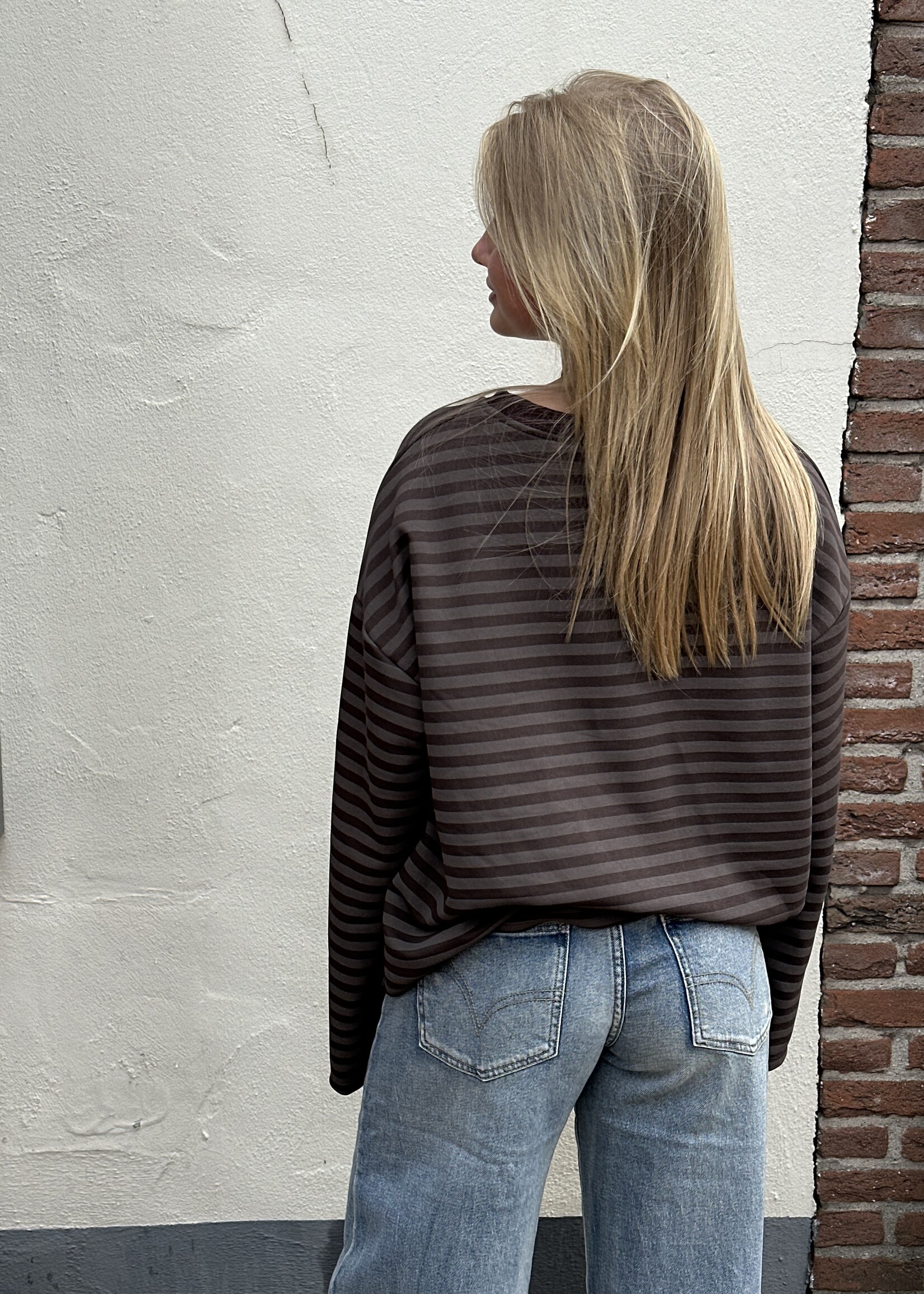 Ambika Longsleeve stripes - Bruin