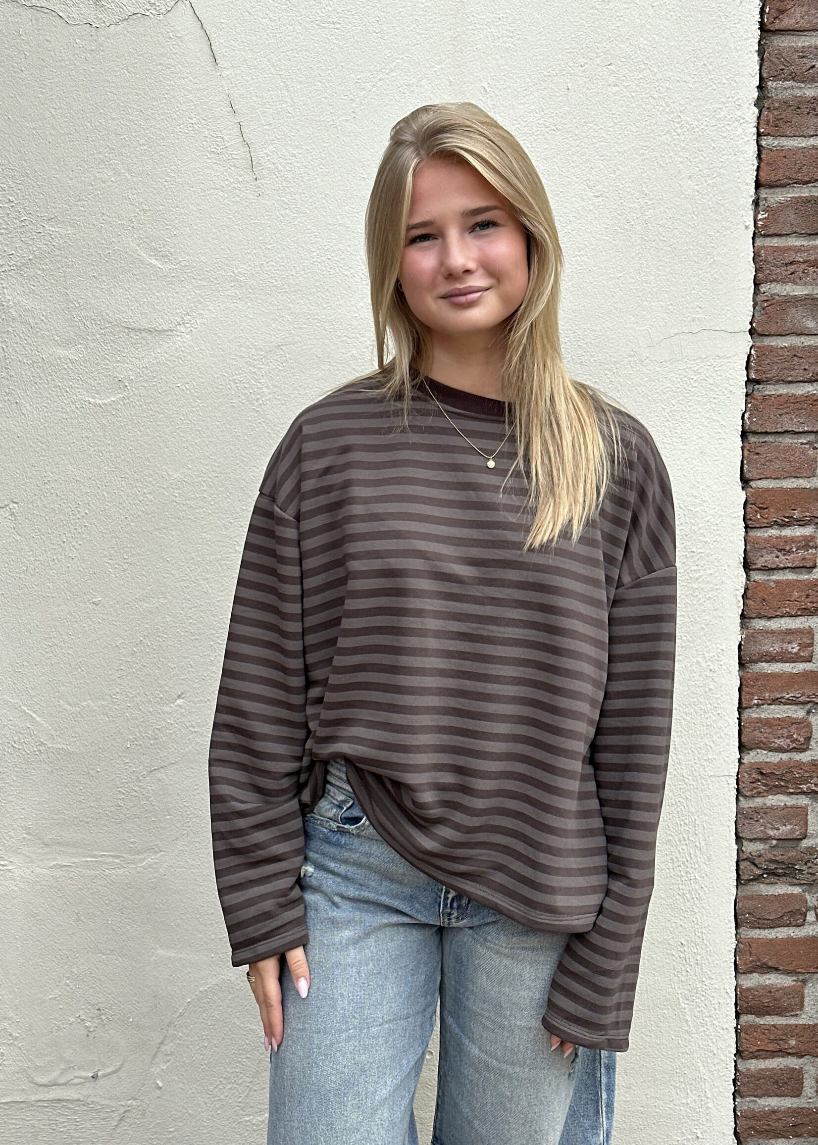 Ambika Longsleeve stripes - Bruin
