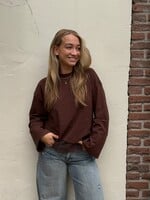 Longsleeve  Lace - Coffee