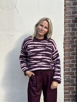 Ambika Trui Zebra - plum