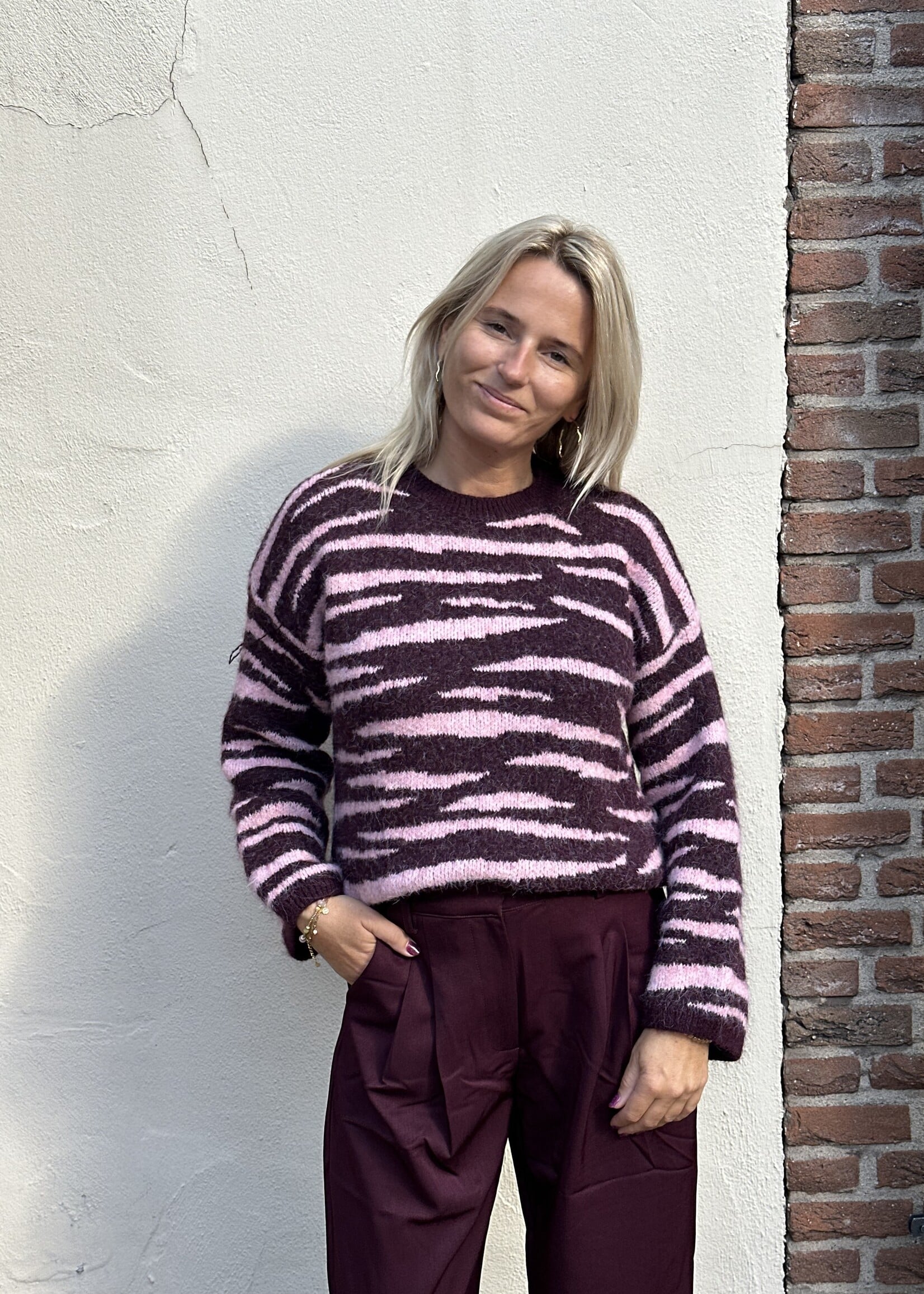 Ambika Trui Zebra - plum